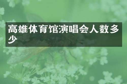 高雄体育馆演唱会人数多少