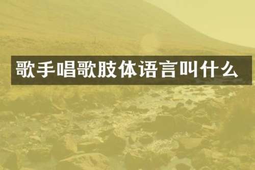 歌手唱歌肢体语言叫什么