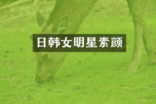 日韩女明星素颜