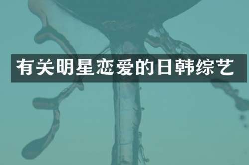 有关明星恋爱的日韩综艺