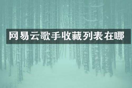 网易云歌手收藏列表在哪