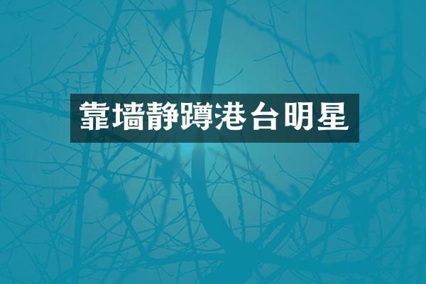 靠墙静蹲港台明星