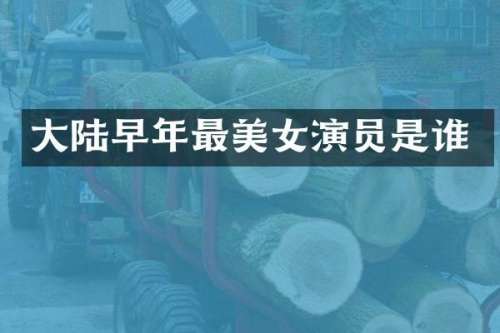 大陆早年最演员是谁