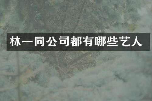 林一同公司都有哪些艺人
