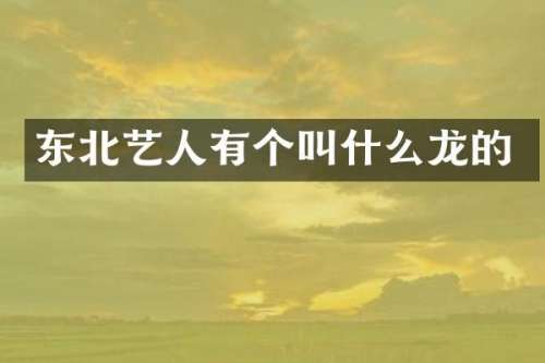 东北艺人有个叫什么龙的