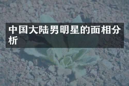 中国大陆男明星的面相分析