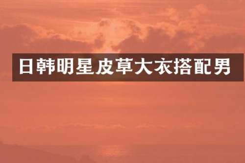 日韩明星皮草大衣搭配男