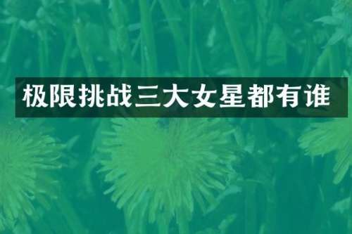 极限挑战三大女星都有谁