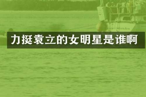 力挺袁立的女明星是谁啊