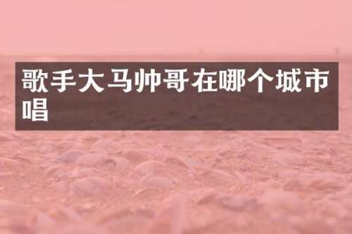 歌手大马帅哥在哪个城市唱