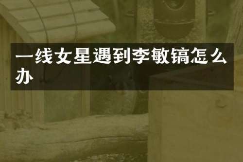 一线女星遇到李敏镐怎么办