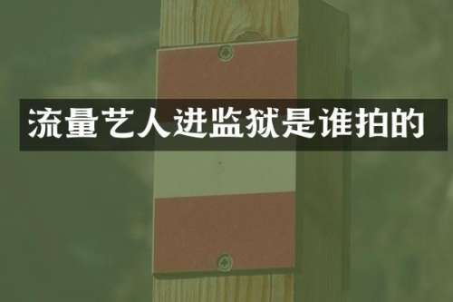 流量艺人进监狱是谁拍的