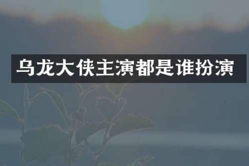 乌龙大侠主演都是谁扮演