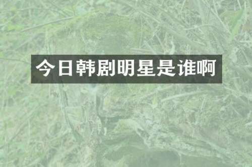 今日韩剧明星是谁啊