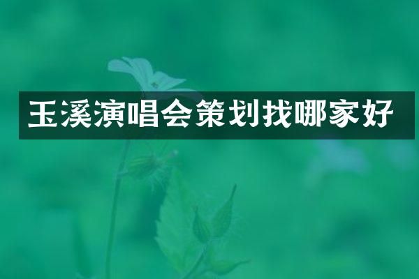 玉溪演唱会策划找哪家好