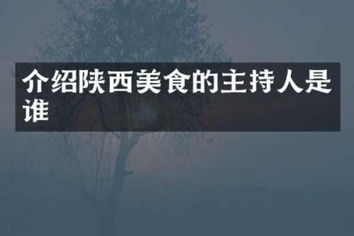 介绍陕西美食的主持人是谁