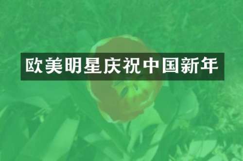 欧美明星庆祝中国新年