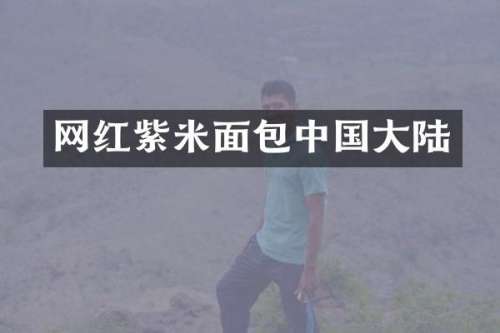 网红紫米面包中国大陆