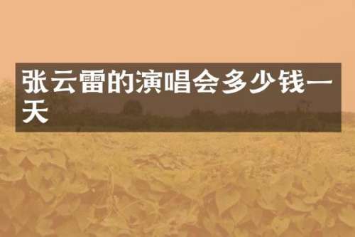 张云雷的演唱会多少钱一天