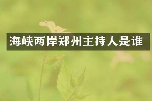海峡两岸郑州主持人是谁