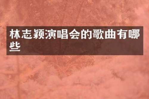 林志颖演唱会的歌曲有哪些