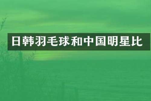 日韩羽毛球和中国明星比