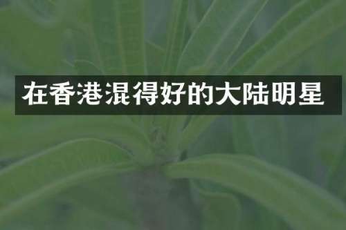 在香港混得好的大陆明星