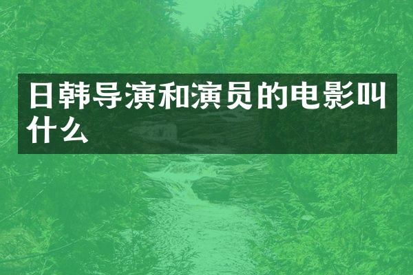 日韩导演和演员的电影叫什么