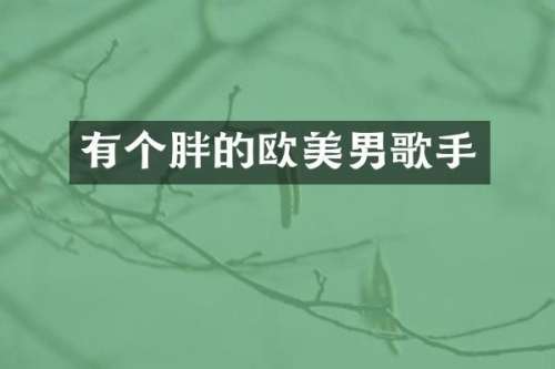 有个胖的欧美男歌手