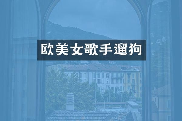 欧歌手遛狗