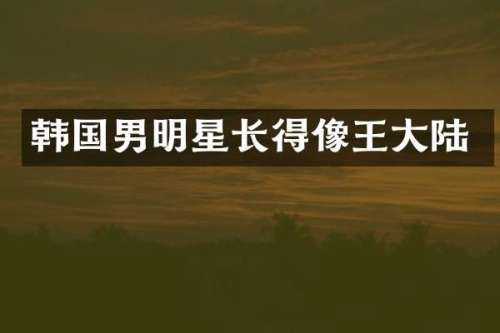 韩国男明星长得像王大陆
