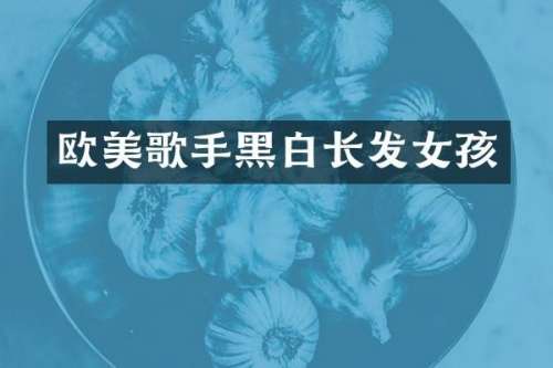 欧美歌手黑白长发女孩