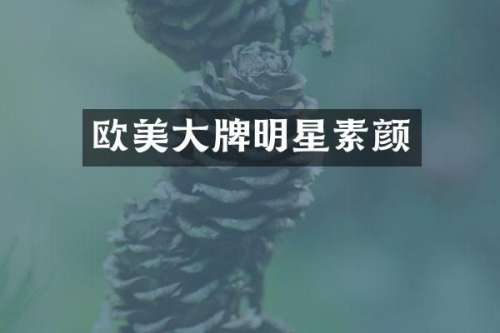 欧美大牌明星素颜