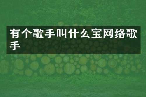 有个歌手叫什么宝网络歌手
