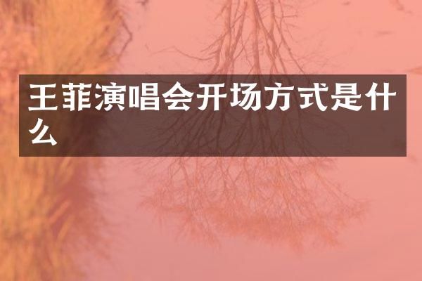 王菲演唱会开场方式是什么