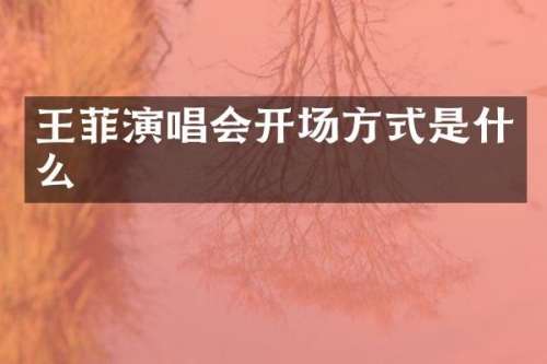 王菲演唱会开场方式是什么