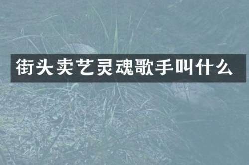 街头卖艺灵魂歌手叫什么
