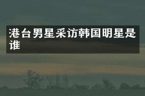 港台男星采访韩国明星是谁