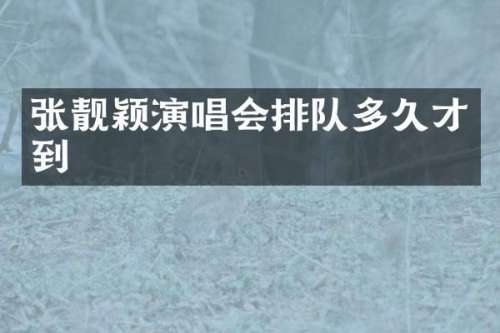 张靓颖演唱会排队多久才到