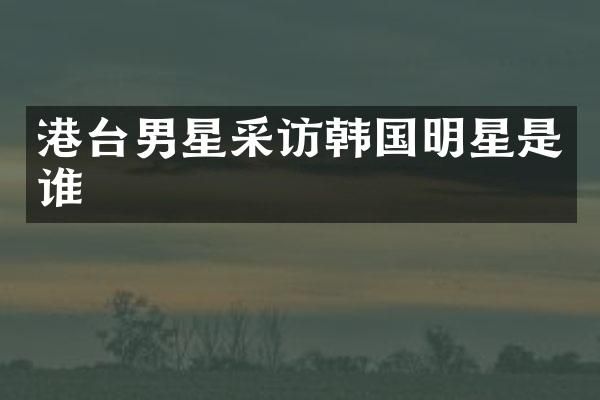 港台男星采访韩国明星是谁