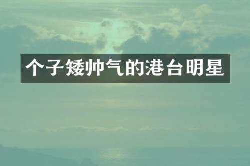 个子矮帅气的港台明星