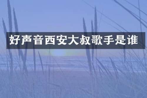 好声音西安大叔歌手是谁