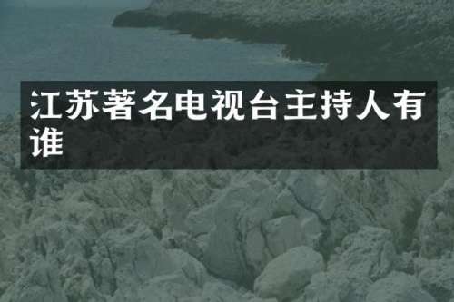 江苏著名电视台主持人有谁