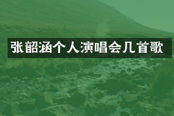 张韶涵个人演唱会几首歌