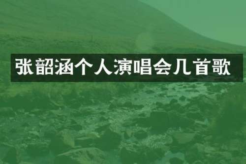 张韶涵个人演唱会几首歌