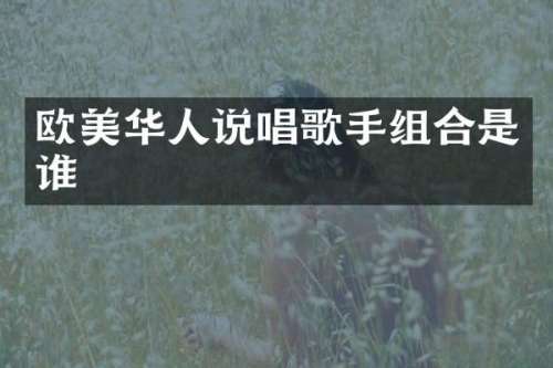 欧美华人说唱歌手组合是谁