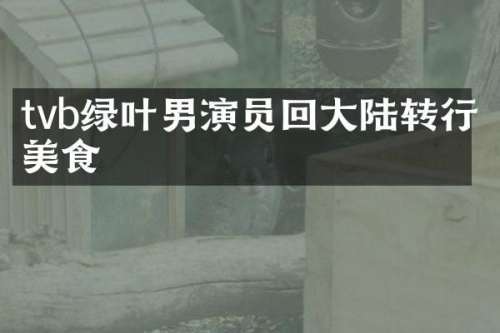 tvb绿叶男演员回大陆转行美食