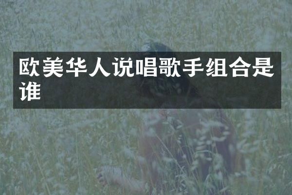 欧美华人说唱歌手组合是谁