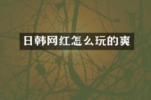 日韩网红怎么玩的爽