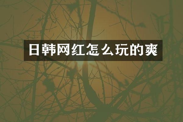 日韩网红怎么玩的爽